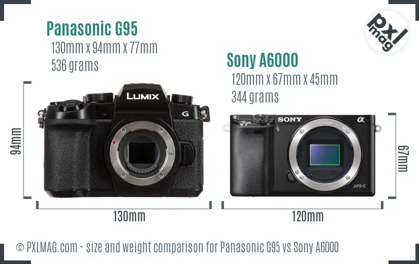 Panasonic G95 vs Sony A6000 size comparison
