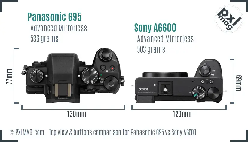 Panasonic G95 vs Sony A6600 top view buttons comparison