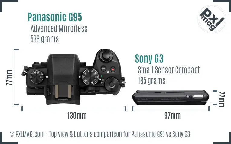 Panasonic G95 vs Sony G3 top view buttons comparison