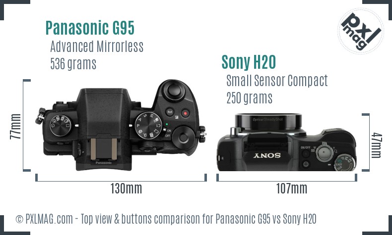 Panasonic G95 vs Sony H20 top view buttons comparison
