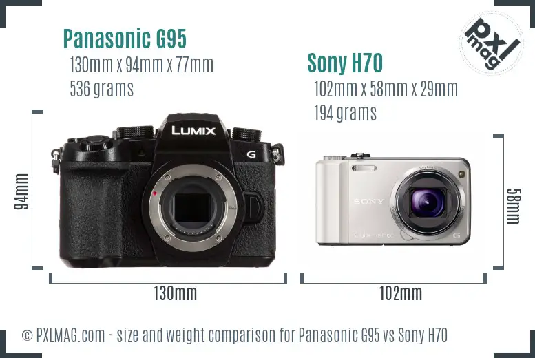 Panasonic G95 vs Sony H70 size comparison