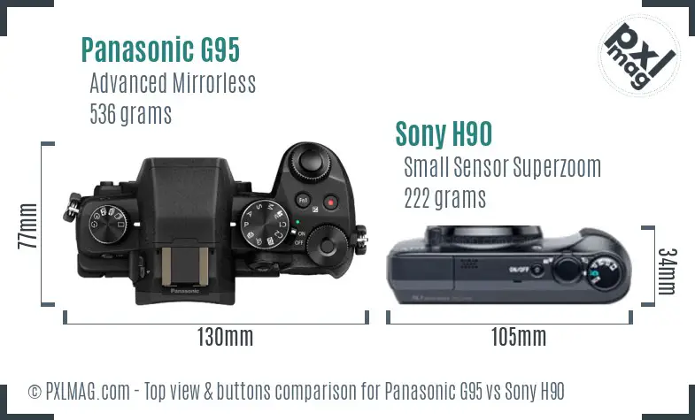Panasonic G95 vs Sony H90 top view buttons comparison Panasonic G95 vs Sony H90 top view buttons comparison