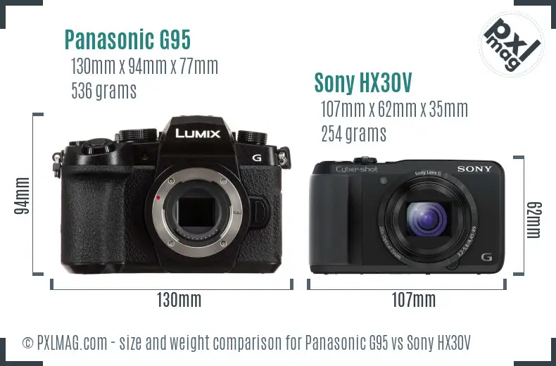 Panasonic G95 vs Sony HX30V size comparison