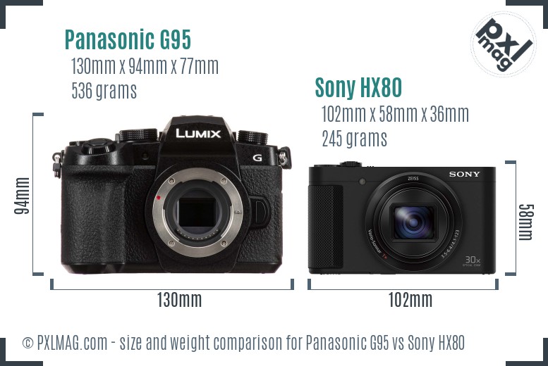 Panasonic G95 vs Sony HX80 size comparison
