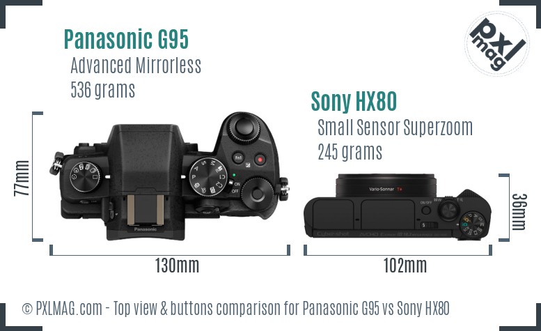 Panasonic G95 vs Sony HX80 top view buttons comparison