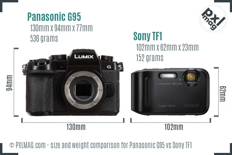 Panasonic G95 vs Sony TF1 size comparison