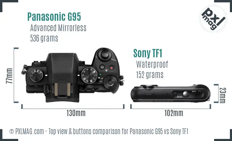 Panasonic G95 vs Sony TF1 top view buttons comparison