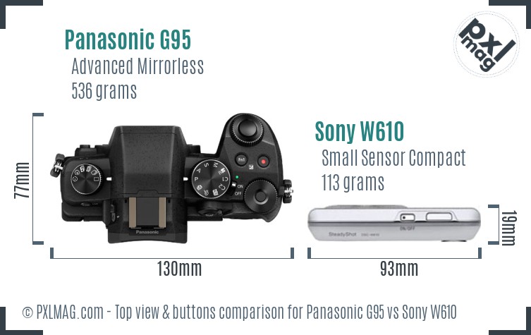 Panasonic G95 vs Sony W610 top view buttons comparison