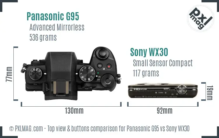 Panasonic G95 vs Sony WX30 top view buttons comparison