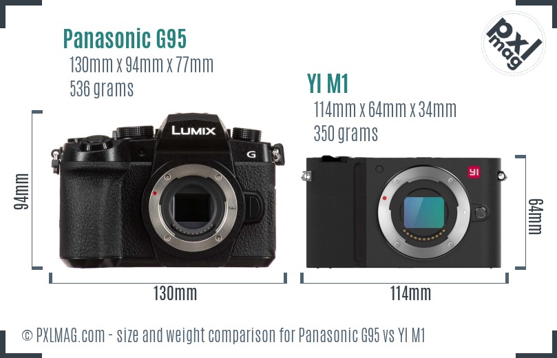 Panasonic G95 vs YI M1 size comparison
