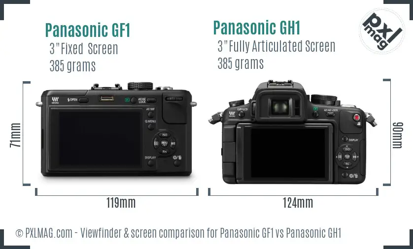 Panasonic GF1 vs Panasonic GH1 Screen and Viewfinder comparison