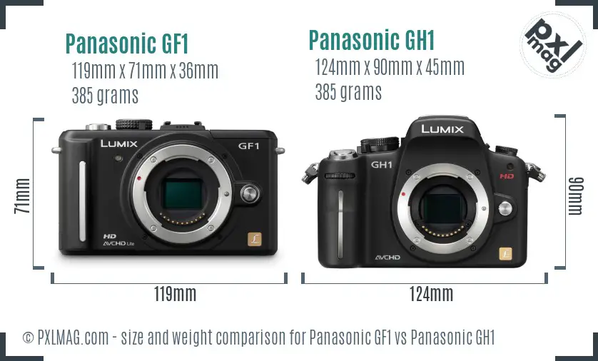 Panasonic GF1 vs Panasonic GH1 size comparison
