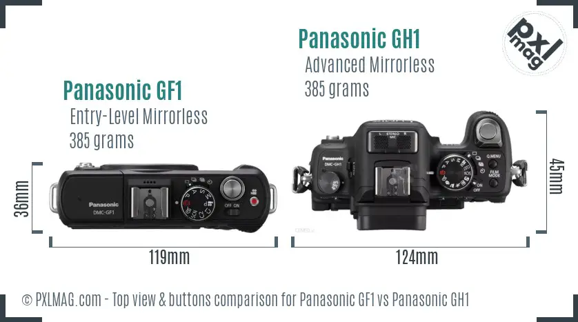 Panasonic GF1 vs Panasonic GH1 top view buttons comparison