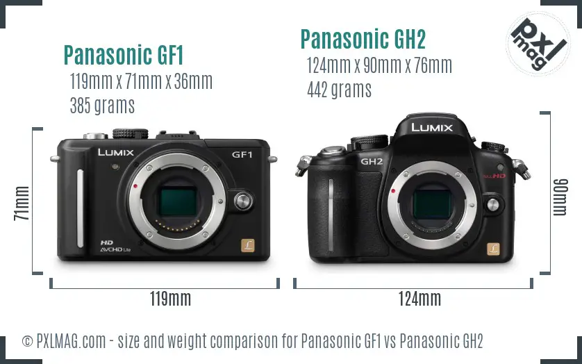 Panasonic GF1 vs Panasonic GH2 size comparison