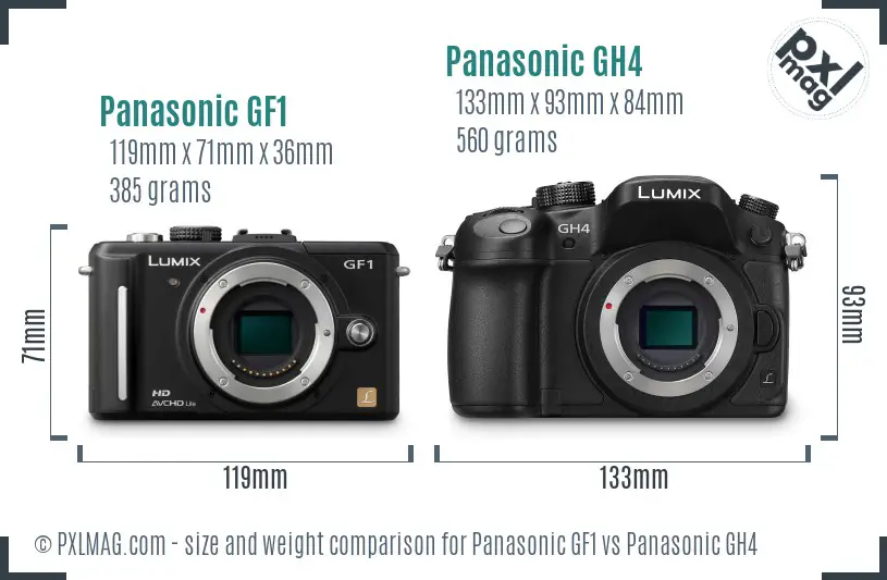 Panasonic GF1 vs Panasonic GH4 size comparison