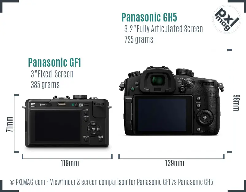 Panasonic GF1 vs Panasonic GH5 Screen and Viewfinder comparison
