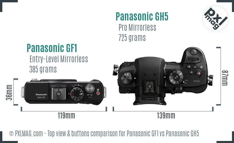 Panasonic GF1 vs Panasonic GH5 top view buttons comparison