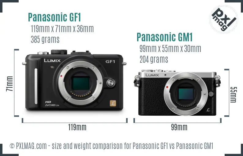 Panasonic GF1 vs Panasonic GM1 size comparison