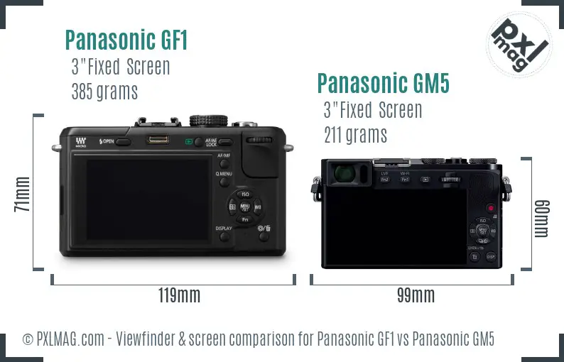 Panasonic GF1 vs Panasonic GM5 Screen and Viewfinder comparison