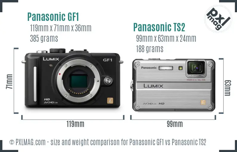 Panasonic GF1 vs Panasonic TS2 size comparison