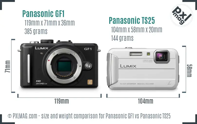 Panasonic GF1 vs Panasonic TS25 size comparison