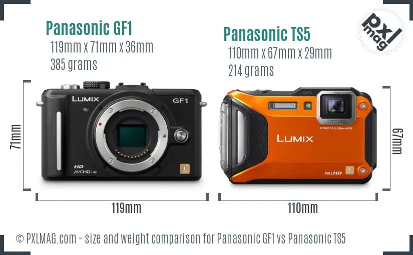 Panasonic GF1 vs Panasonic TS5 size comparison