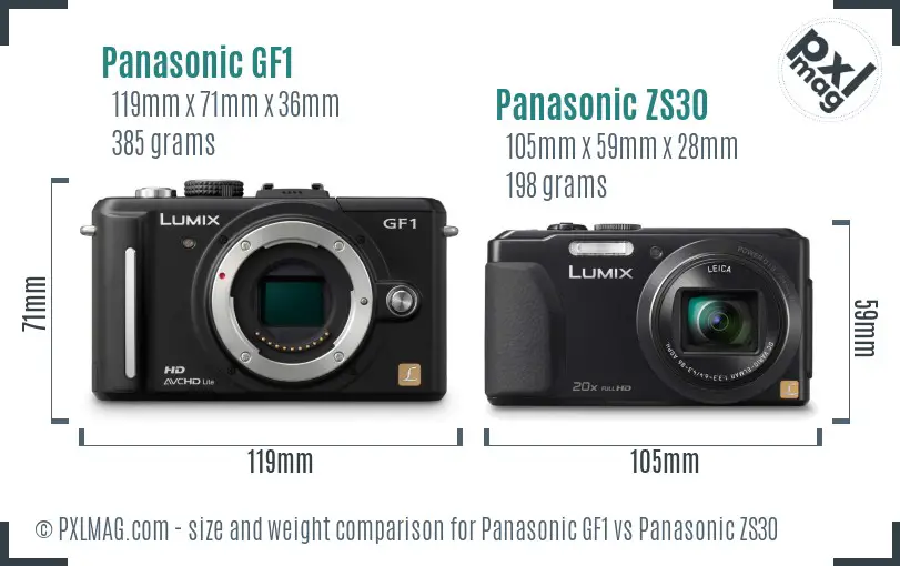 Panasonic GF1 vs Panasonic ZS30 size comparison
