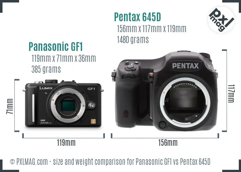 Panasonic GF1 vs Pentax 645D size comparison