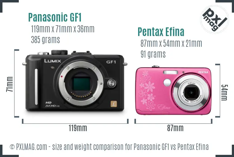 Panasonic GF1 vs Pentax Efina size comparison