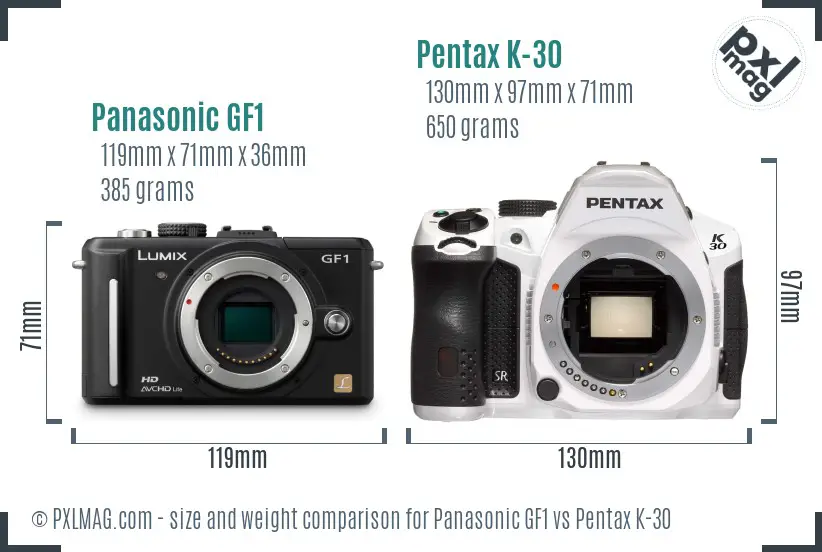 Panasonic GF1 vs Pentax K-30 size comparison