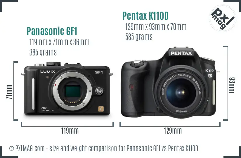 Panasonic GF1 vs Pentax K110D size comparison