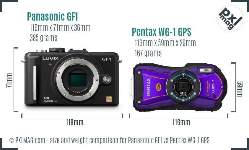 Panasonic GF1 vs Pentax WG-1 GPS size comparison
