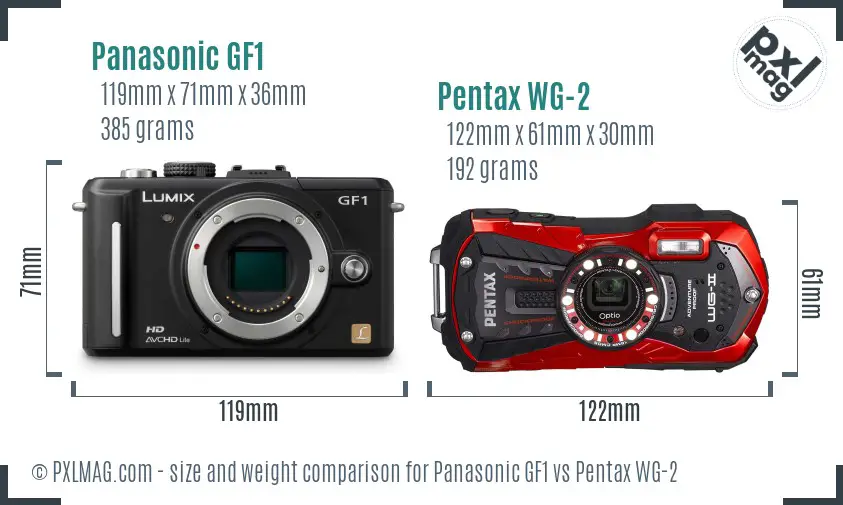 Panasonic GF1 vs Pentax WG-2 size comparison