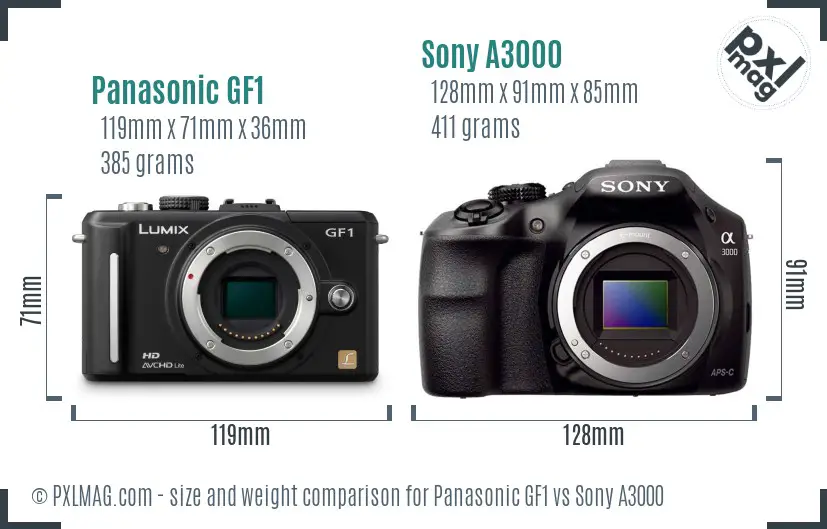 Panasonic GF1 vs Sony A3000 size comparison