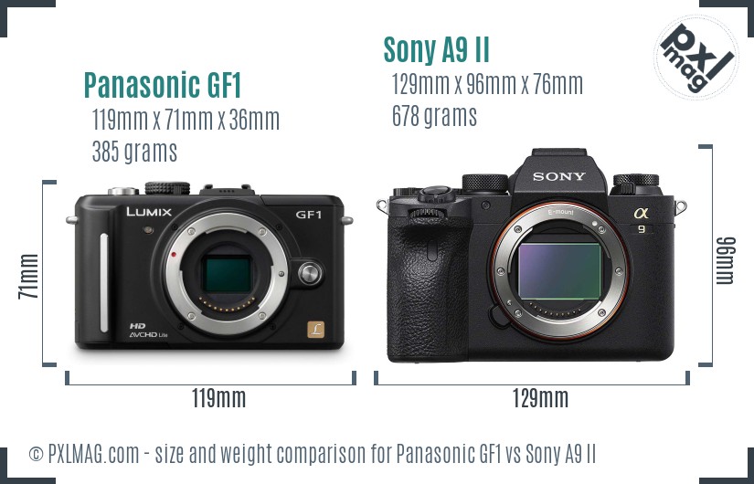Panasonic GF1 vs Sony A9 II size comparison