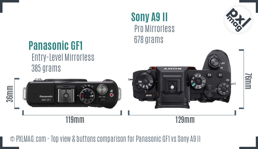 Panasonic GF1 vs Sony A9 II top view buttons comparison