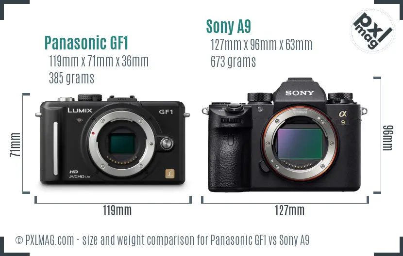Panasonic GF1 vs Sony A9 size comparison