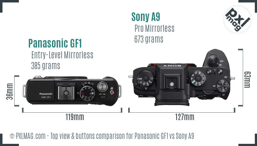 Panasonic GF1 vs Sony A9 top view buttons comparison