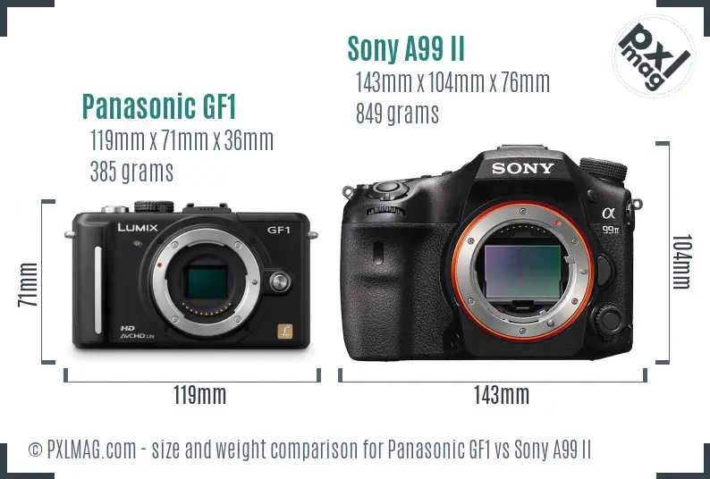 Panasonic GF1 vs Sony A99 II size comparison
