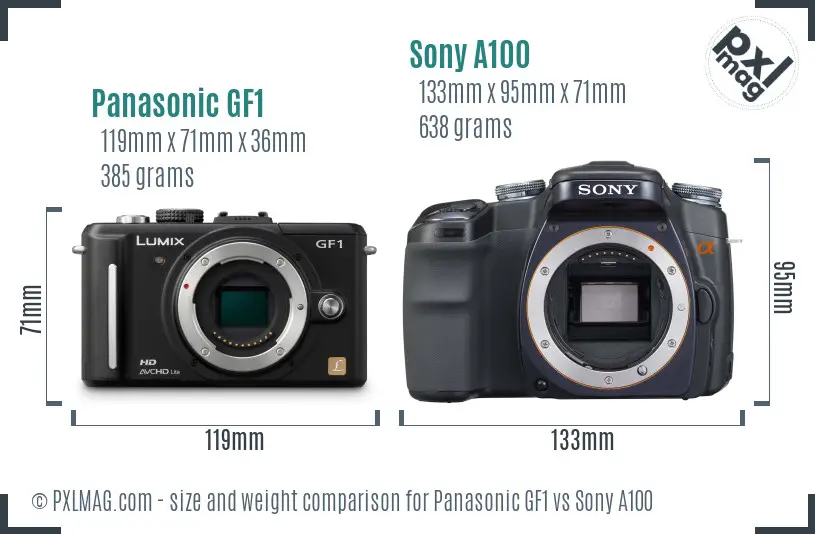 Panasonic GF1 vs Sony A100 size comparison