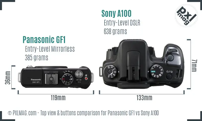 Panasonic GF1 vs Sony A100 top view buttons comparison