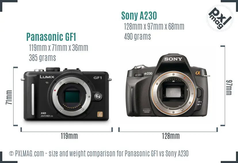 Panasonic GF1 vs Sony A230 size comparison