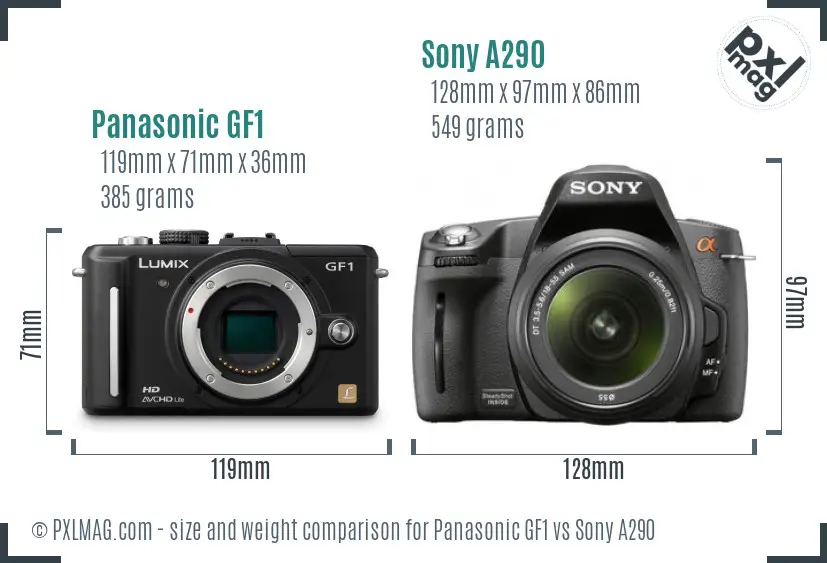 Panasonic GF1 vs Sony A290 size comparison
