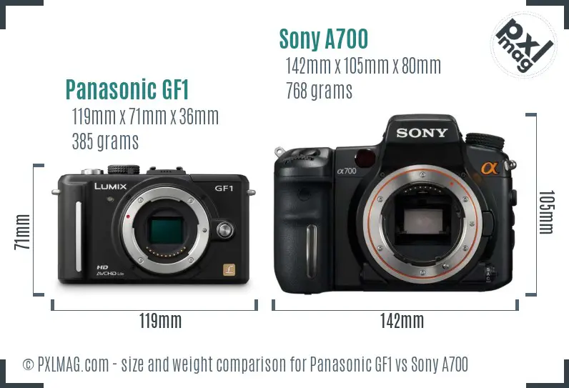 Panasonic GF1 vs Sony A700 size comparison Panasonic GF1 vs Sony A700 size comparison