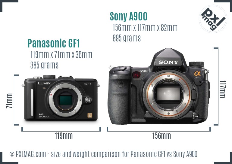 Panasonic GF1 vs Sony A900 size comparison