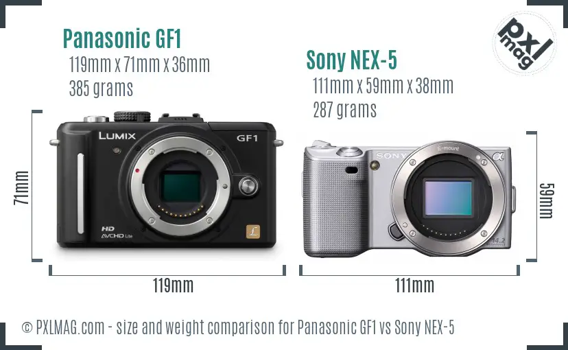 Panasonic GF1 vs Sony NEX-5 size comparison