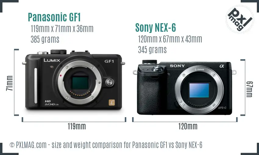 Panasonic GF1 vs Sony NEX-6 size comparison