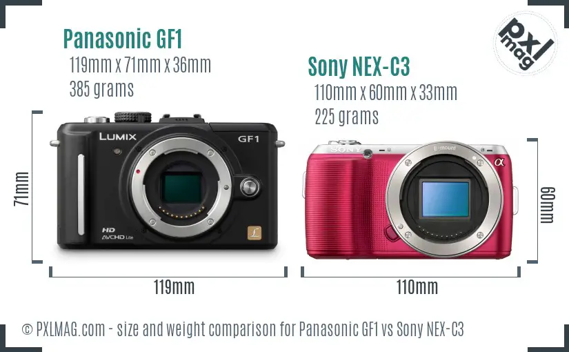 Panasonic GF1 vs Sony NEX-C3 size comparison