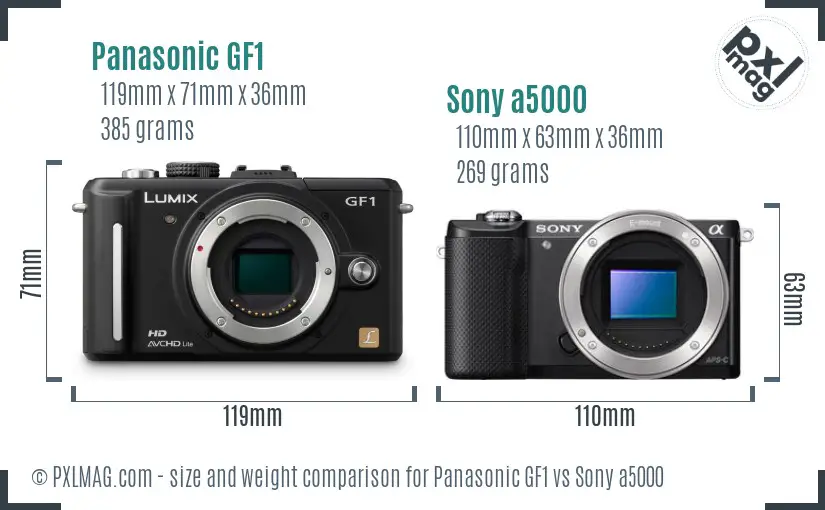 Panasonic GF1 vs Sony a5000 size comparison