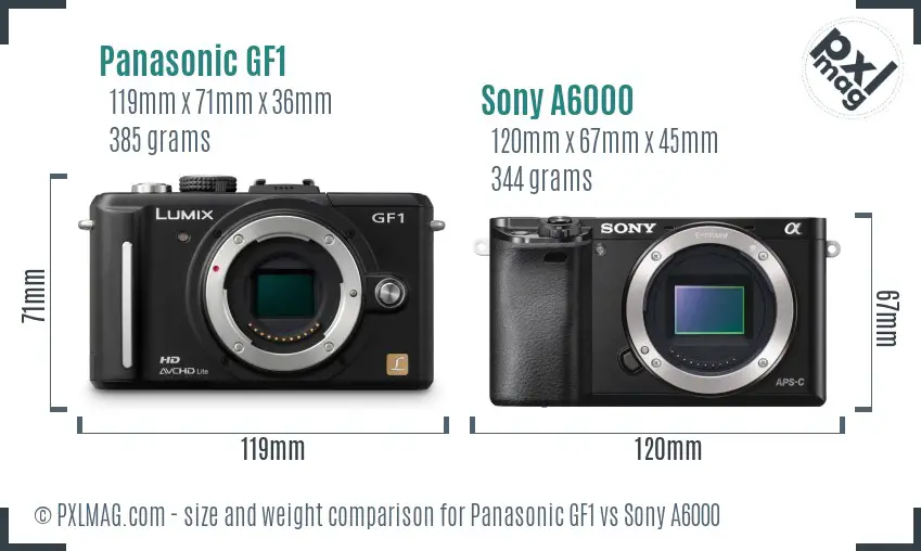 Panasonic GF1 vs Sony A6000 size comparison